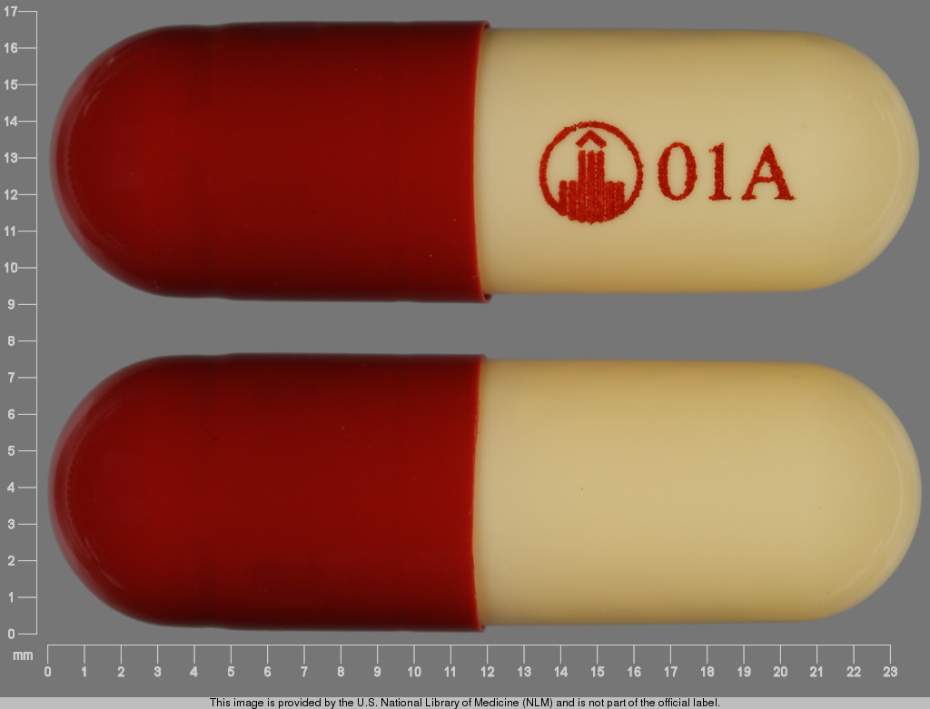 01A