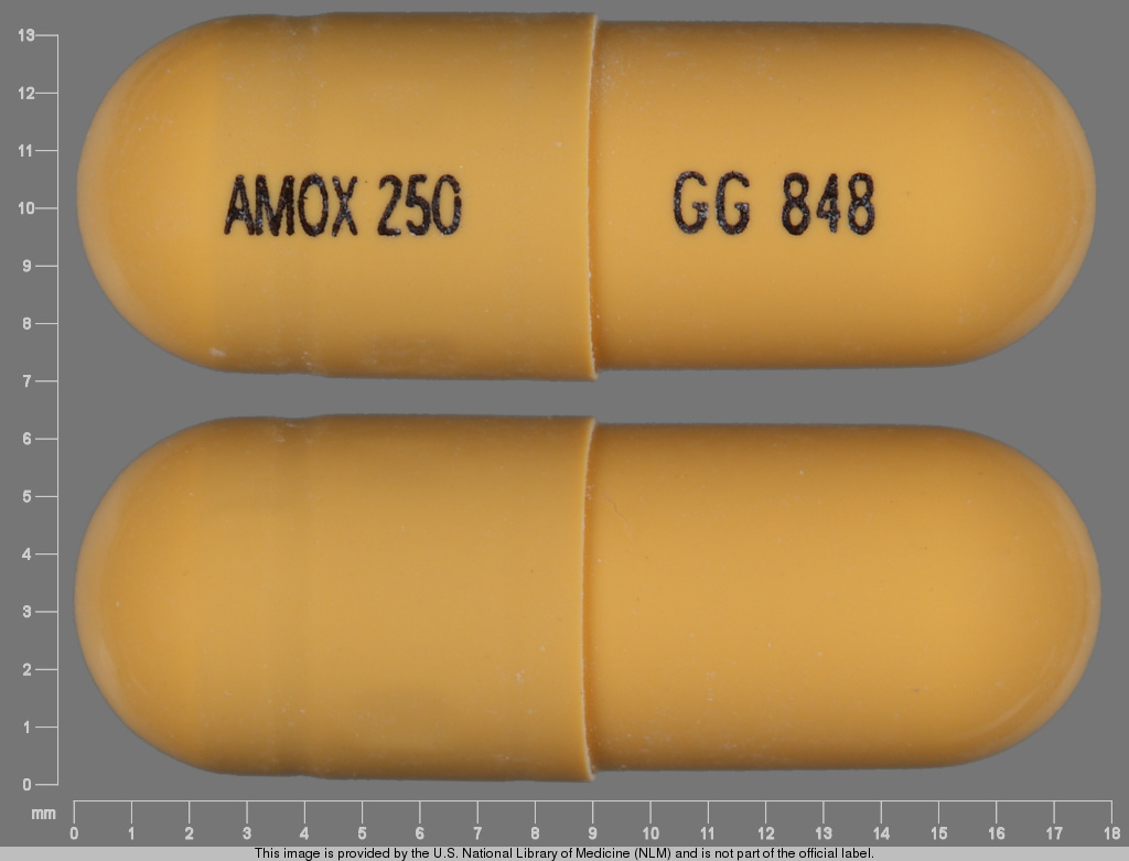 AMOX