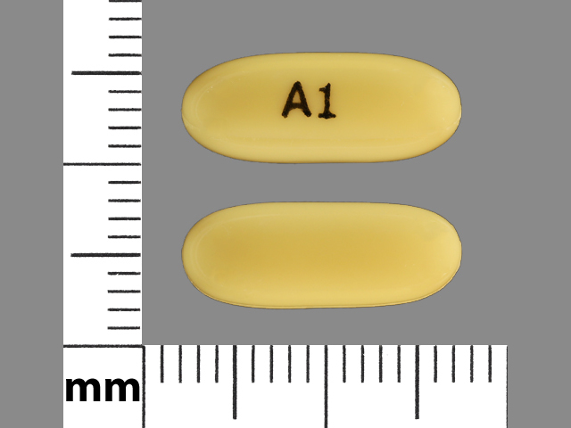 A1