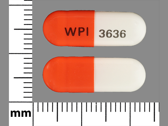 WPI