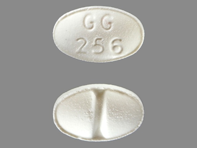 GG256
