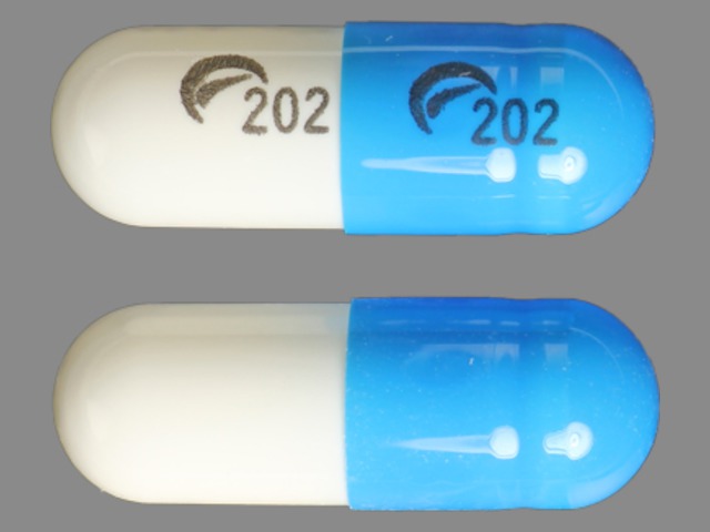 202